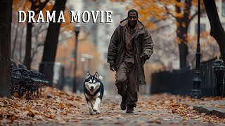 Full movie drama  A meeting that changed their lives  Adventure comedy best movies🎬🎥 [upl. by Mathilda803]