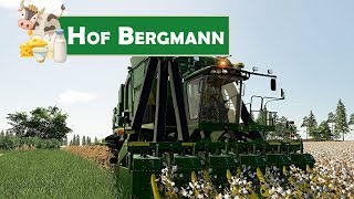 LS19 HOF BERGMANN 126 BAUMWOLLERNTE   Verkauf der Sonnenblumen  LANDWIRTSCHAFTS SIMULATOR 19 [upl. by Reginald]