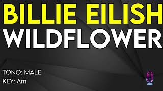 Billie Eilish  Wildflower  Karaoke Instrumental  Male [upl. by Enneicul]