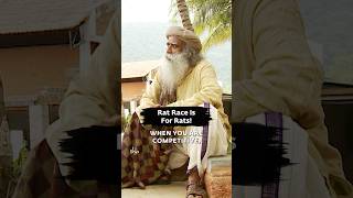 Rat Race Is For Rats sadhguru ratrace [upl. by Alberik291]