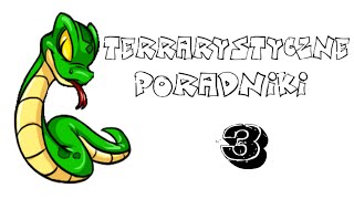 Terrarystyczne poradniki  3  Podstawowe Informacje O Agamach [upl. by Leugimsiul312]