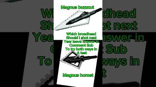 Which broadhead next year hunting life bowhunt deerhunting [upl. by Gnuj]