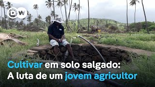 Cultivar em solo salgado A luta de um jovem agricultor em Cabo Verde [upl. by Brinkema465]