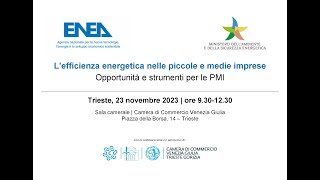 L’efficienza energetica nelle piccole e medie imprese  Trieste 23 novembre 2023 [upl. by Els470]