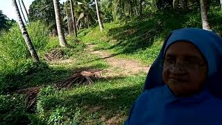 Srilanka Rosarian 200 Nuns were feed during Covid [upl. by Tnecniv]