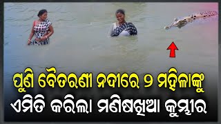 ପୁଣି ବୈତରଣୀ ନଦୀ ରେ ଝୁଣି ଖାଇଲା କୁମ୍ଭୀର  ଏଥର ହାବୁଡ଼ରେ ୨ ମହିଳା  Kumbhira News Odia  Crocodile News [upl. by Balch852]