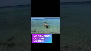 Discover the Hidden Gem of Cozumel Mr Sanchos Mexico [upl. by Ahsilif]