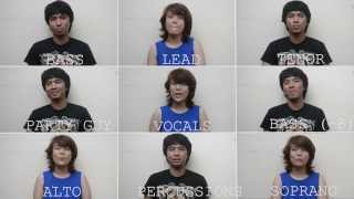 We Cant Stop Miley Cyrus Acapella Cover [upl. by Htide212]