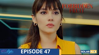 Forbidden Fruit Episode 47  FULL EPISODE  TAGALOG DUB  Turkish Drama [upl. by Curson28]