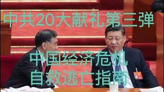 平论直播｜中共20大献礼第三弹，中国经济危机自救逃亡指南 20221019 [upl. by Notffilc360]