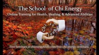 Chi Energy Nerve Fiber Building [upl. by Akanke]