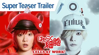 CELLS AT WORK  Super Teaser Trailer [upl. by Galvan]