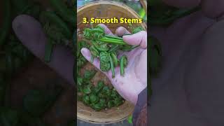 3 Ways to Identify Fiddleheads [upl. by Jutta]