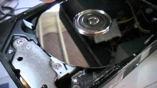 Maxtor 2F020J0 Hard Disk Drive Exposed [upl. by Carrick]