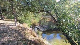 Exploring the Petaluma River the Lynch Creek Trail [upl. by Werdnaed852]