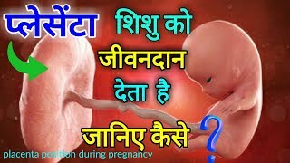 Placenta Kya Hai  Placenta Position During Pregnancy  Pink Glow [upl. by Anomer57]