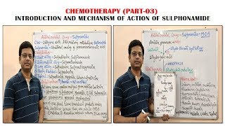 Chemotherapy of Antibiotics Part03 Sulfonamide Introduction amp Mechanism of Action  Antibiotic [upl. by Pisarik]