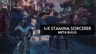 1vX Stamina Sorcerer  Solo Build [upl. by Gan869]