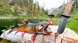 Fishing a Mountain Lake FILLED with HUNGRY TROUT Catch amp Cook [upl. by Fabrin134]