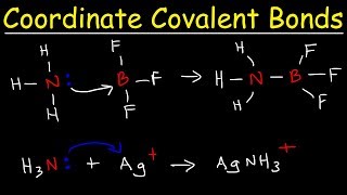 What is a Coordinate Covalent Bond [upl. by Alesandrini179]