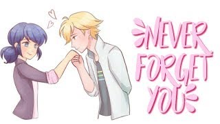 miraculous ladybug  never forget you [upl. by Turmel]