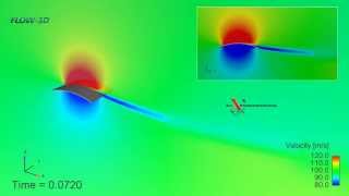 Flexible wing simulated with FLOW3D  Ala aeroelastica  Aile aérolélastique [upl. by Cally302]