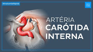 Artéria carótida interna  Anatomia Fácil  Kenhub [upl. by Leizo]