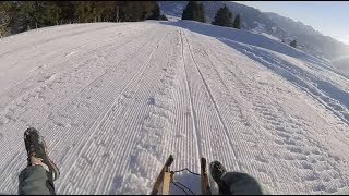 Rodeln Allgäu  Mittagbahn Rodeln bei Immenstadt im Allgäu [upl. by Northey773]