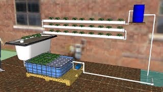 DIY Aquaponics for Beginners 2014 a How To guide to making your first AP system [upl. by Cornela]