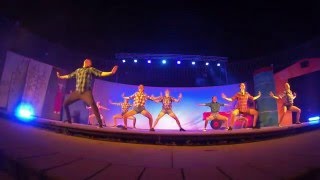 Coreografia quot Olé quot Adelén Festival 2015 [upl. by Vasyuta]