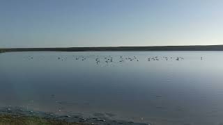 West Fleet near Langton Herring Dorset [upl. by Nauqyt680]