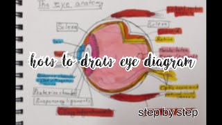 how to draw eye how to draw eye diagramclass 10th [upl. by Naxor]