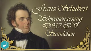 Franz Schubert  Schwanengesang D 957 IV Standchen [upl. by Lledrac]