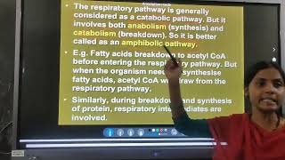 Biology  Amphibolic pathway and Respiratory Quotient [upl. by Aikaz]