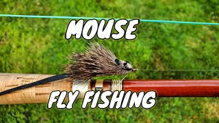 Mouse Fly Fishing Catches a Couple Bass FAST [upl. by Binky939]