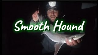 UK Sea Fishing  Smooth Hound  Anglesey  North Wales [upl. by Runck]