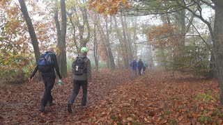 Op wandel met de Tongerse Wandelvrienden in OudTurnhout en Turnhout [upl. by Lichtenfeld]