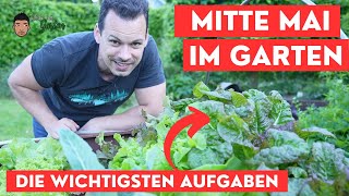 Gartenarbeiten Mitte Mai  Auspflanzen Ernten Hochbeet Gemüse und Blumenbeete [upl. by Bullock]