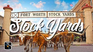 Fort Worth Stockyards  Cowboy Experience [upl. by Ettenoj]