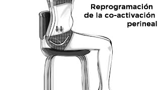 HIPOPRESIVOS Efectos de los Hipopresivos II Reprogramación Abdominal [upl. by Ardnad]