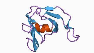 Protease inhibitor biology  Wikipedia audio article [upl. by Hannah]