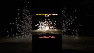 SILVESTER COMPILATION 20232024🧨  Part 5 [upl. by Erodisi]