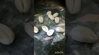 Diy cowrie shells😱How to make thisart viralshorts song cowrieshell [upl. by Reffotsirk]