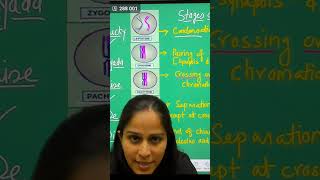 Prophase 1 stages Shortcuts  Meiosis  NEET  Suman Yadav ncert biology [upl. by Nosreme]