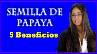 Semilla de Papaya  5 Beneficios de la Semilla de Papaya [upl. by Sondra]