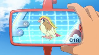 Pidgey Pidgeotto and Pidgeot Pokédex Entrieswmv [upl. by Raychel628]