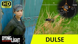 DULSE  Side Quest  Dying Light  FULL HD 60fps  Tutorial [upl. by Spohr]