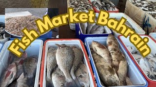 Best Fish Market in Bahrain 🇧🇭 बहरीन में सबसे अच्छा मछली बाजार🎣🚣🏻🐟🦐 [upl. by Hoskinson]