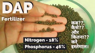 What is DAP Fertilizer and How to use DAP Fertilizer in Plants Hindi [upl. by Alphonse]