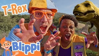 RAWR Stomp Like a Dinosaur  Music Video  Blippi Wonders Educational Videos for Kids [upl. by Manly]